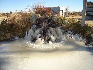 Frozen Pond