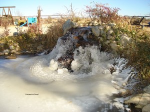 Frozen Koi Pond