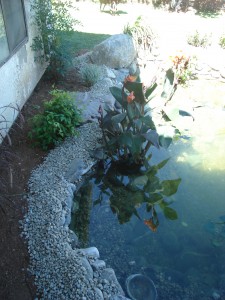 All Photos 2007 1681