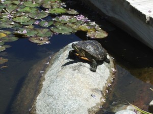 May2011 003